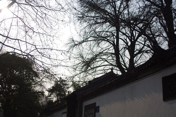 IMGP2599.JPG