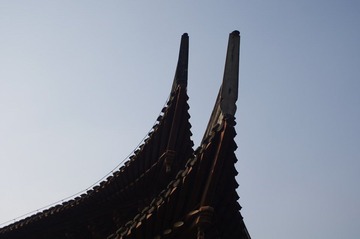 IMGP2613.JPG