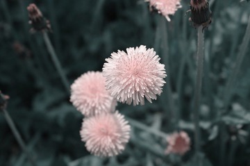 _IGP2848.JPG