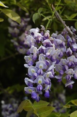 _IGP2857.JPG
