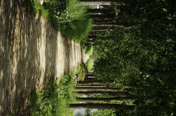 _IGP3075.JPG