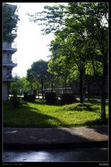 _IGP3145.JPG