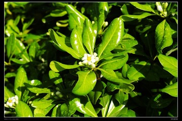 _IGP3149.JPG