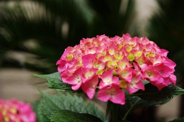 IMGP3702.JPG