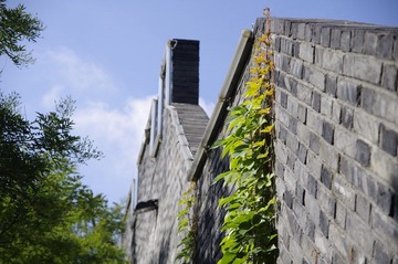 _IGP4811.JPG