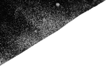 1150019