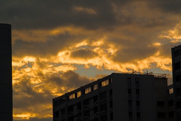1201618
