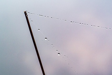 1201431