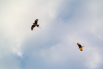 1201626