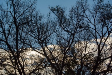 1202011