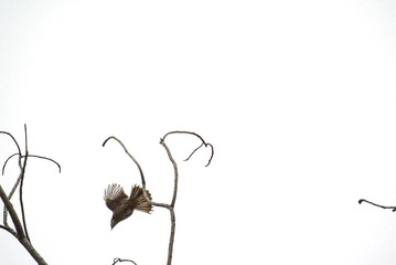 1201086