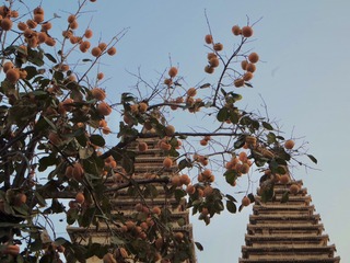 8CF71149-9305-4350-BCD9-FEB7A6BFE9A1/L0/001