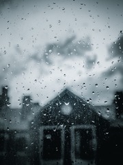 B0647879-11B2-44B5-832A-5E4B2679DBCC/L0/001