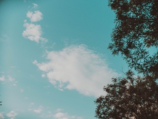 EAE2FD1F-97E8-45E5-829C-DBBB1C1AC63A/L0/001