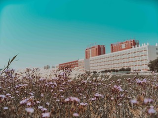 243BA2F7-F426-4848-B0B3-D514E07F6EFC/L0/001