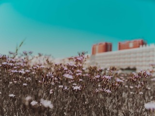 AA8863A4-AE88-4D72-84C9-2BD4A54F04FD/L0/001