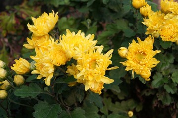 DSC04541.JPG