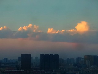 1050816