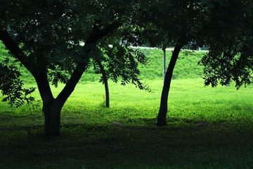 4910.jpg