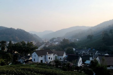 梅坞春早