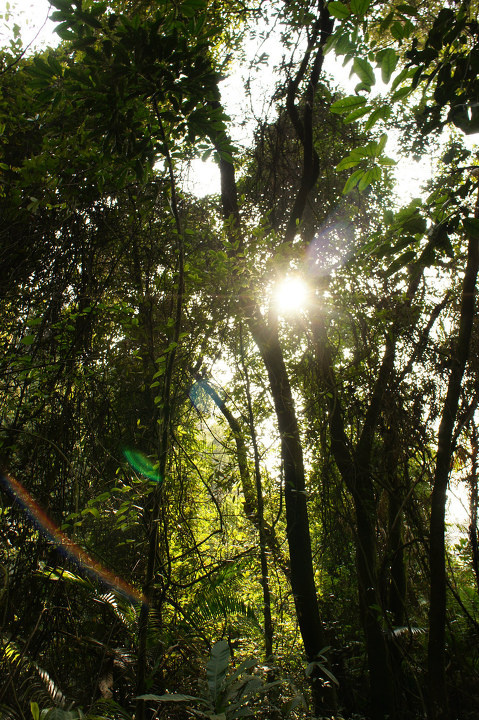 周末阳光 - 琻兰 - 图虫