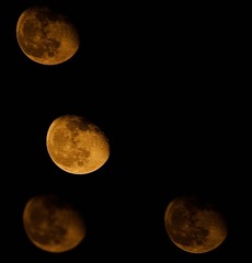 5D8765A9-1AE7-4716-82D1-DD9646D4BE64/L0/001