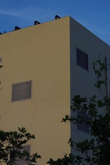 B6310026-FB5A-4E26-9287-49CCFDDF197A/L0/001