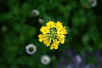 7E3A92E7-6C27-44B7-927A-064A49635D6D/L0/001