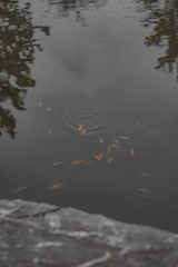 118563