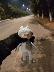 1000026457