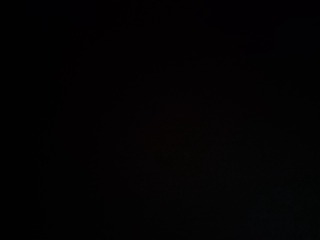 1000028454