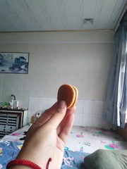 49546
