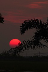 D6473B88-1684-45F5-B1D7-B83314CB820B/L0/001