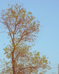 7D120B07-2264-4DC7-A053-72B08DA8629E/L0/001