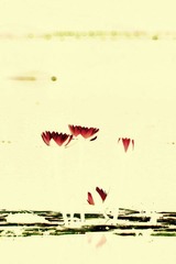 IMG_1271_副本.jpg
