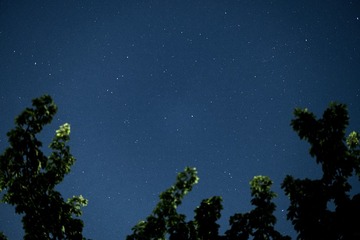 3C6E3F1C-E70B-4488-B6B1-761A18CE8065/L0/001
