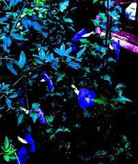 38438442-B453-4039-96CB-84F7A76F6A69/L0/001