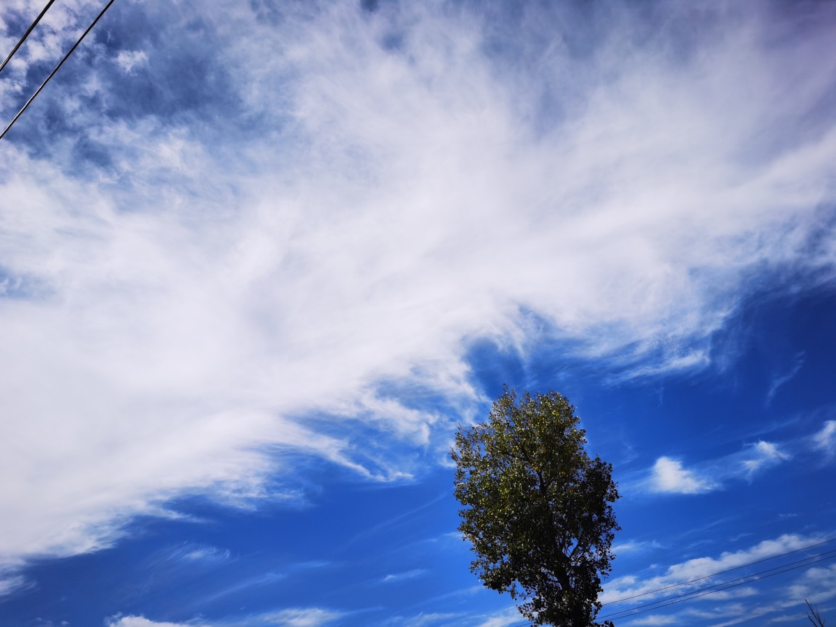 蓝天一色白云点缀绿色是生命的颜色