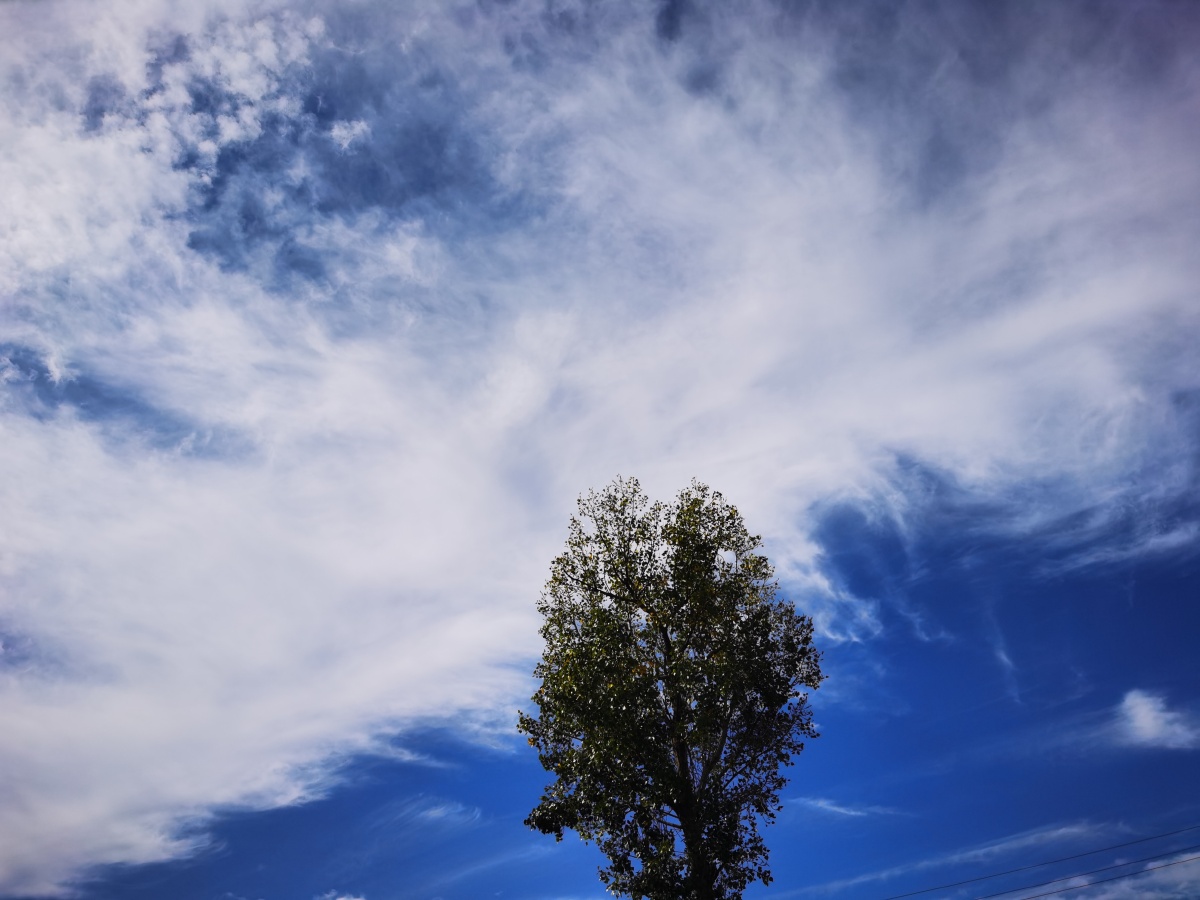 蓝天一色白云点缀绿色是生命的颜色