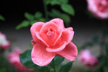 F7EF1C5F-05E8-42C9-A8E1-C489BB314FEC/L0/001