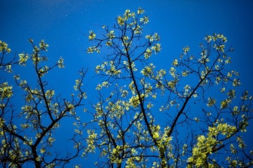 123FBD4B-4B90-43B0-A845-377D8BBB1085/L0/001