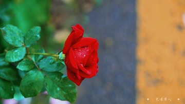 05E2E1D2-6399-4716-808B-A514D98F05D1/L0/001