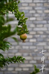 E1DEC71C-53B0-4C44-A845-2D8BCD286C1B/L0/001