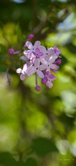 4D664332-0D5C-4BA3-9402-FF67D639328D/L0/001