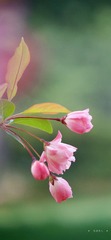 43BD0A1F-8158-4882-B375-9C0117B09EC2/L0/001