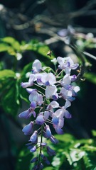 0FD7B48F-2808-4FA5-88C9-C2A0E0CE7D76/L0/001