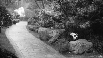 IMG ACROS100 2014 3_0004_