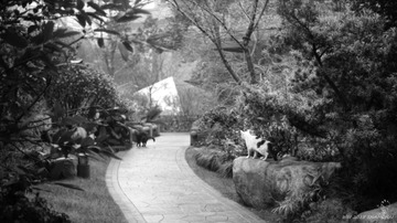 IMG ACROS100 2014 3_0005_
