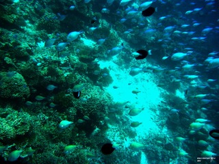 DSCF0047a