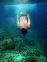 DSCF0091a